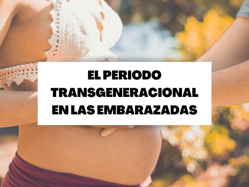 portada-periodo-transgeneracional