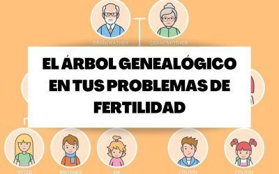 ¿Cómo ayuda el árbol genealógico en tus problemas de fertilidad?