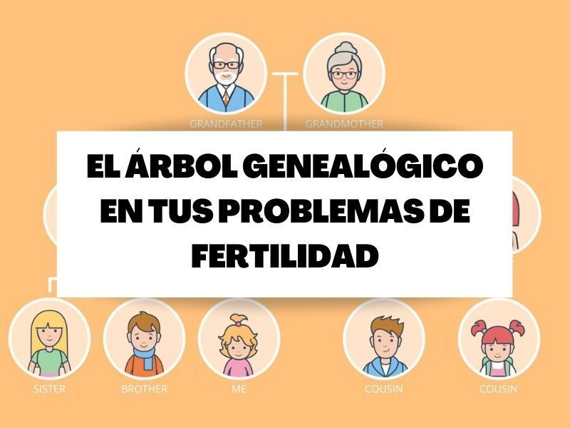 arbol-genealogico-fertilidad